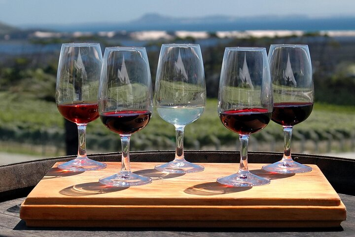 Niagara Wine Trails Private Tour